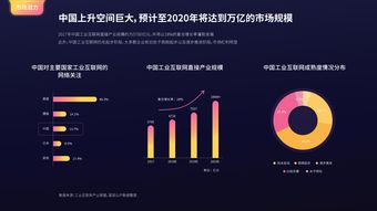 互联网用户与互联网数据中心 199IT在数据服务中的角色与影响